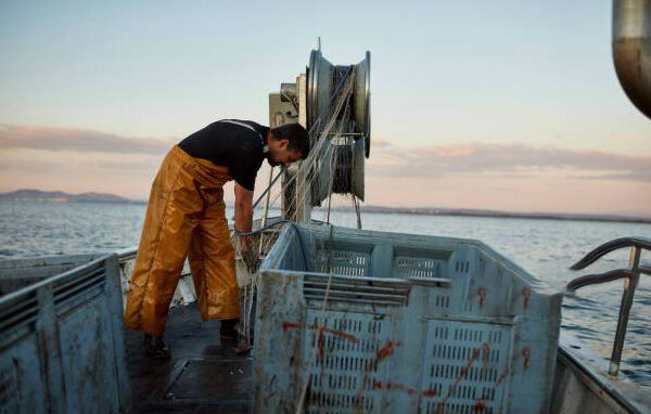 Sustainable Dining at Fish Shop