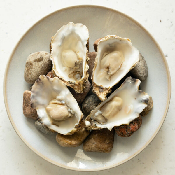 Fresh Oysters from Fish Shop Ballater, available for click and collect.