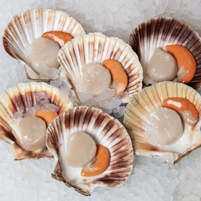 Hand Dived Scallops