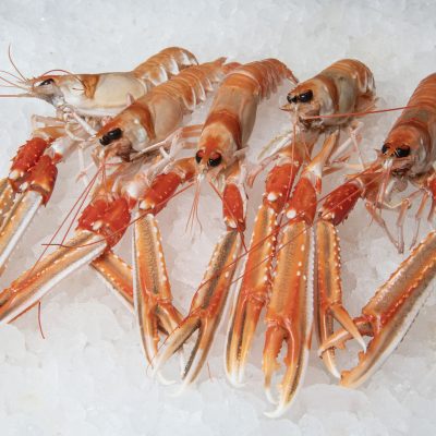 Langoustines