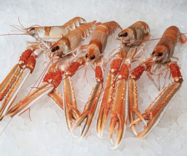 langoustine