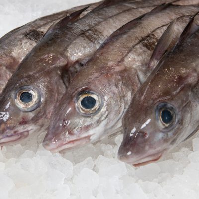 Haddock Fillet