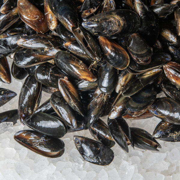 Fishmonger_ mussels