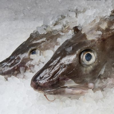 Cod Fillet