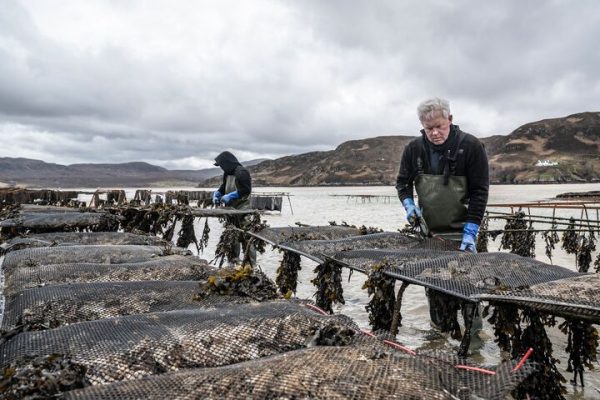 Patrick Blow and staff at Cape Wrath oyster farm